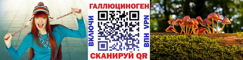 купить закладку  Алдан  Псилоцибиновые грибы Psilocybe 